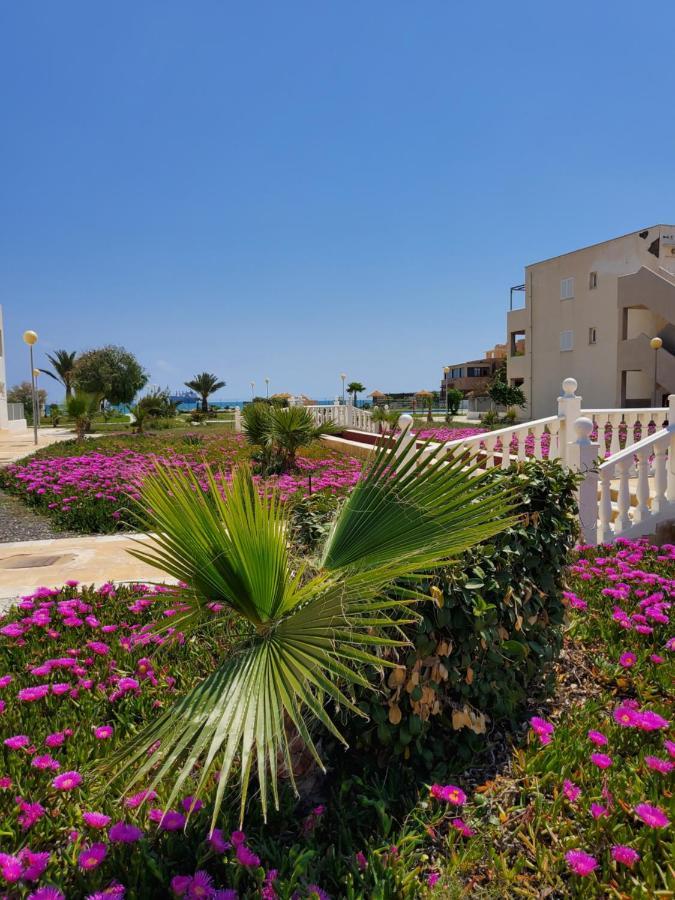 Apartamento Naturista En Primera Línea! Vera Exterior foto